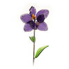Floare decorativa Iris