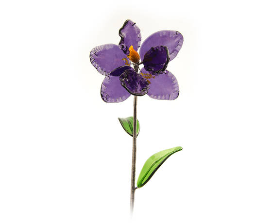 Floare decorativa Iris